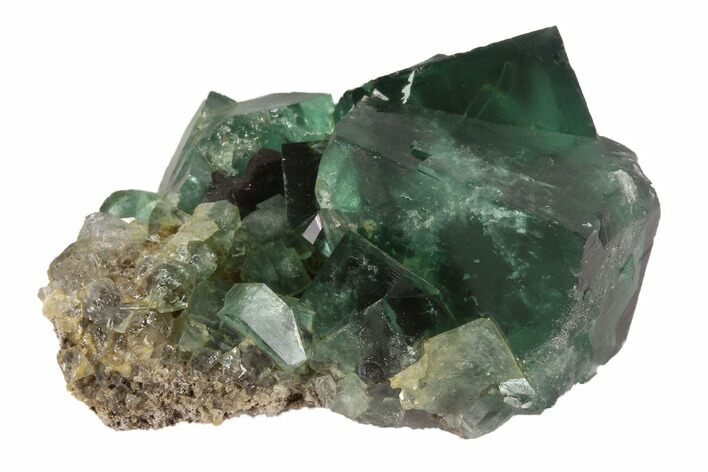 Fluorescent, Fluorite Crystal Cluster - Rogerley Mine #94539
